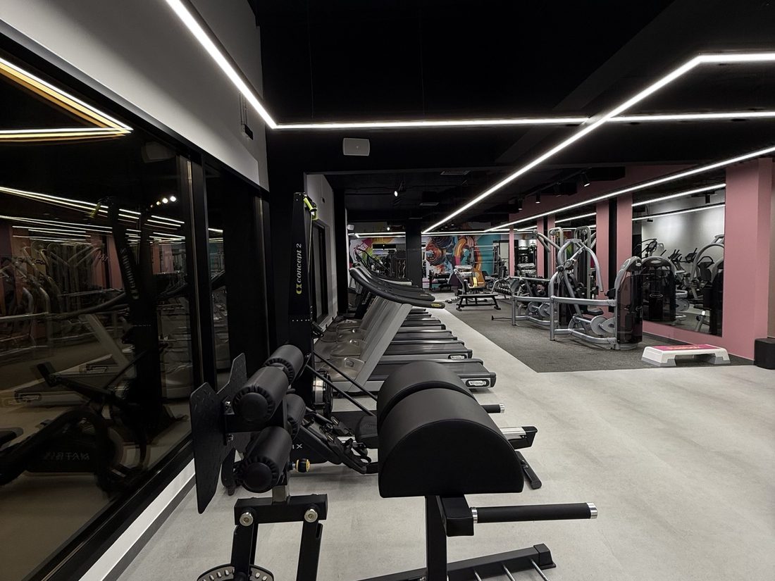 Row of treadmills with a back extension bench in the foreground