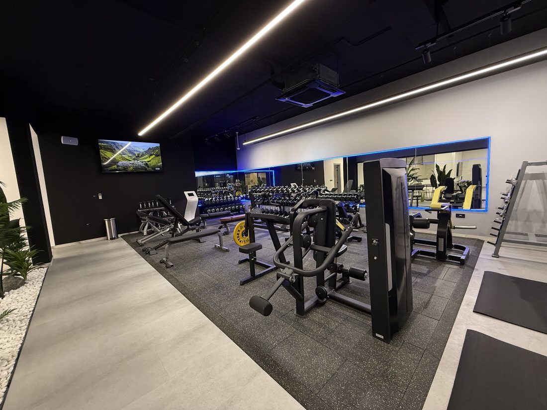 Arm and back machines in front of a mirror wall